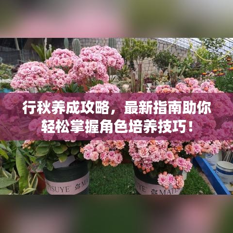 行秋養成攻略,最新指南助你輕松掌握角色培養技巧!