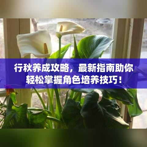 行秋養成攻略,最新指南助你輕松掌握角色培養技巧!