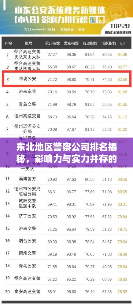 東北地區警察公司排名揭秘,影響力與實力并存的警務巨頭榜單