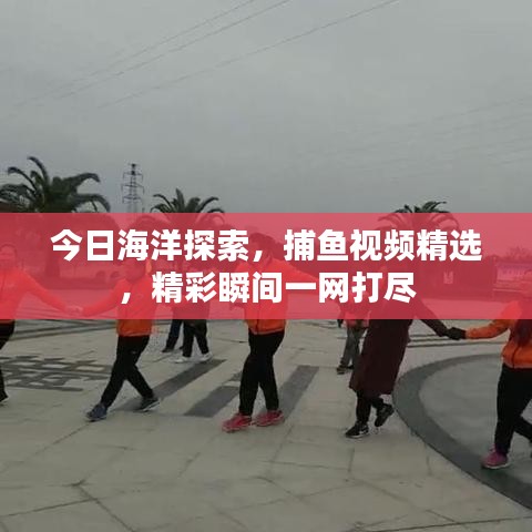 今日海洋探索,捕魚視頻精選,精彩瞬間一網打盡