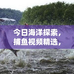 今日海洋探索,捕魚視頻精選,精彩瞬間一網打盡