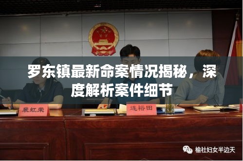 羅東鎮最新命案情況揭秘，深度解析案件細節