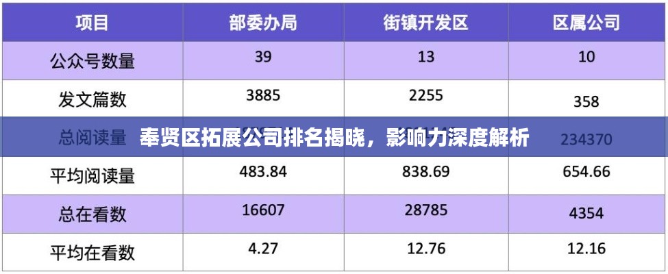 奉賢區拓展公司排名揭曉，影響力深度解析