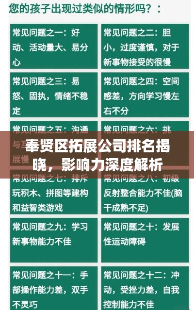 奉賢區拓展公司排名揭曉,影響力深度解析