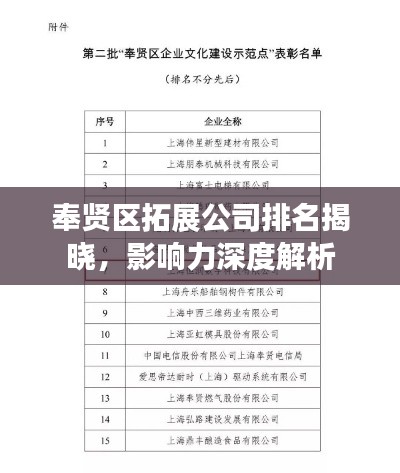 奉賢區拓展公司排名揭曉,影響力深度解析