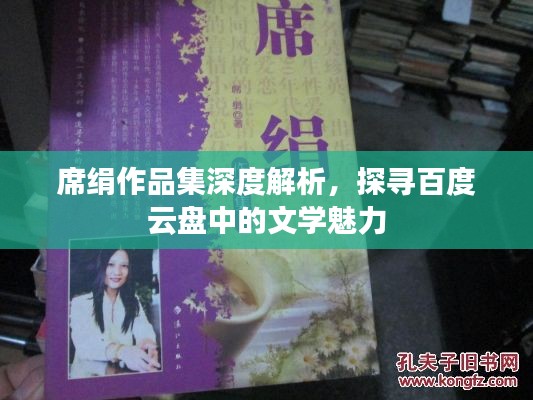 席絹?zhàn)髌芳疃冉馕觯綄ぐ俣仍票P中的文學(xué)魅力