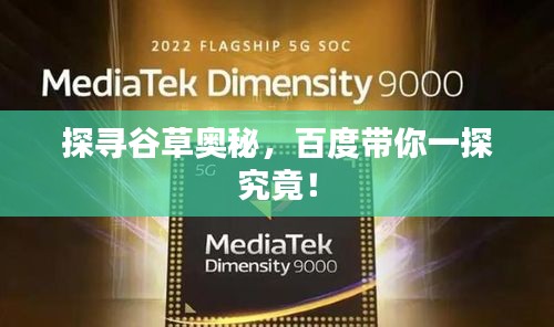探尋谷草奧秘,百度帶你一探究竟!