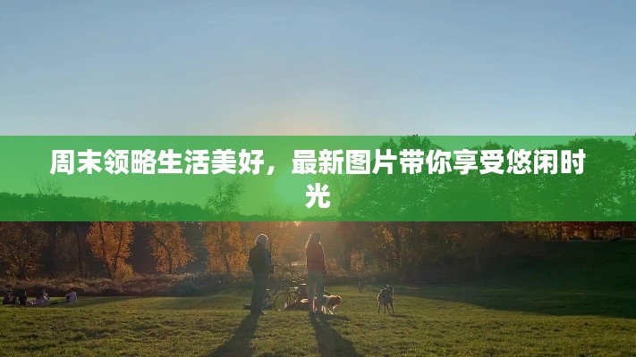 周末領略生活美好,最新圖片帶你享受悠閑時光