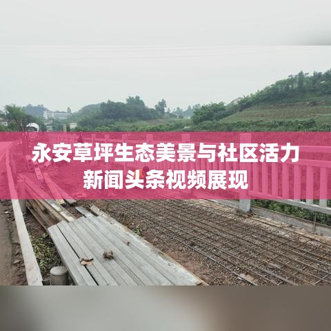 永安草坪生態(tài)美景與社區(qū)活力新聞頭條視頻展現(xiàn)