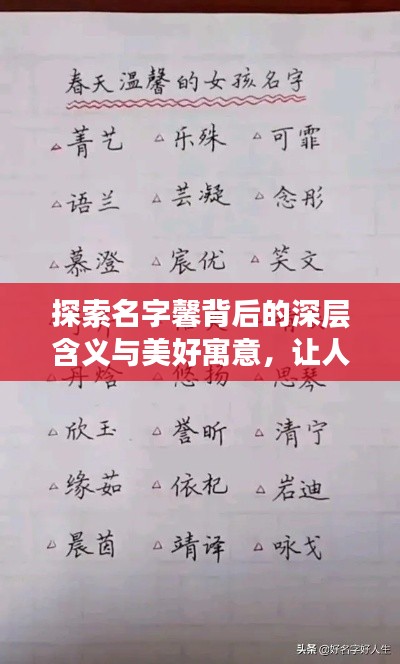 探索名字馨背后的深層含義與美好寓意,讓人心動的名字故事!
