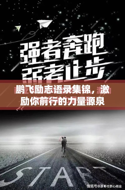 鵬飛勵志語錄集錦,激勵你前行的力量源泉