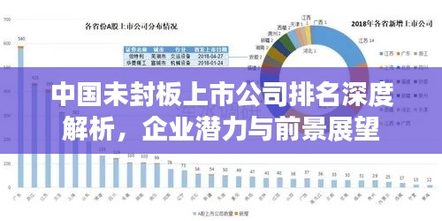中國未封板上市公司排名深度解析,企業(yè)潛力與前景展望