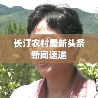 長汀農村最新頭條新聞速遞
