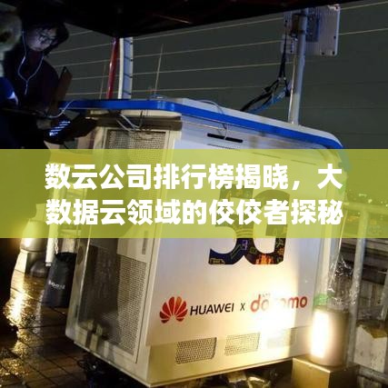 數云公司排行榜揭曉，大數據云領域的佼佼者探秘