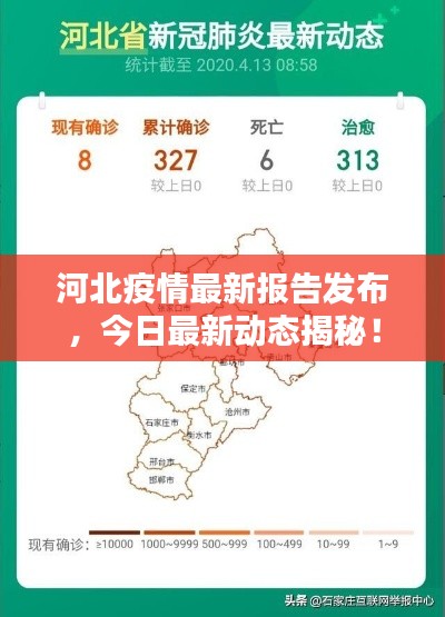河北疫情最新報告發布,今日最新動態揭秘!