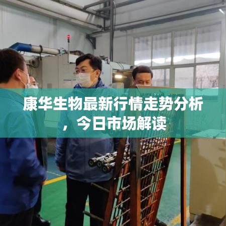 康華生物最新行情走勢分析,今日市場解讀