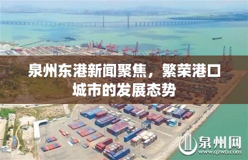 泉州東港新聞聚焦,繁榮港口城市的發(fā)展態(tài)勢(shì)
