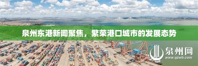 泉州東港新聞聚焦,繁榮港口城市的發展態勢