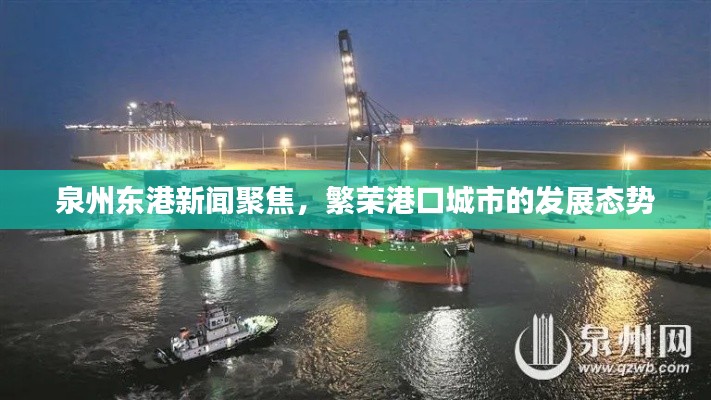 泉州東港新聞聚焦,繁榮港口城市的發展態勢