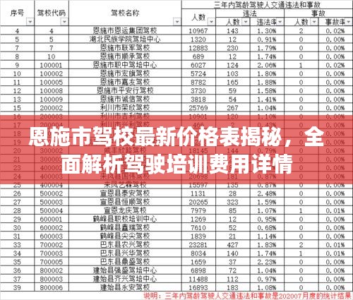 恩施市駕校最新價格表揭秘，全面解析駕駛培訓費用詳情
