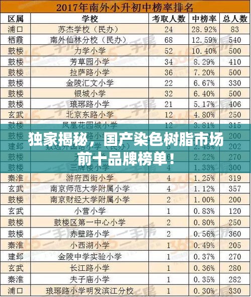 獨家揭秘,國產(chǎn)染色樹脂市場前十品牌榜單!