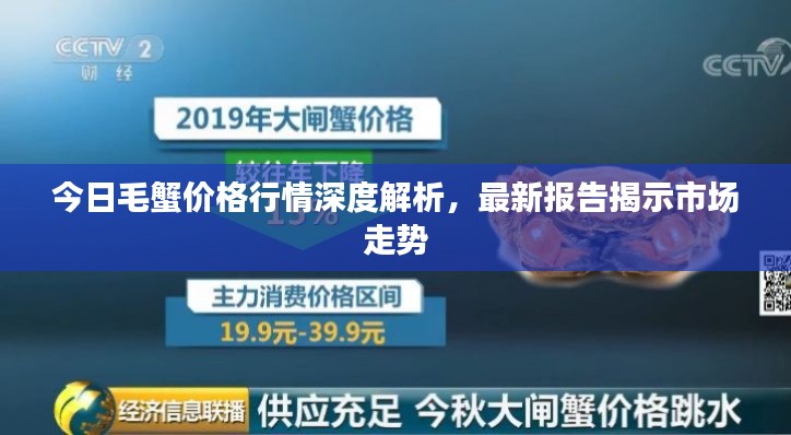 今日毛蟹價格行情深度解析,最新報告揭示市場走勢