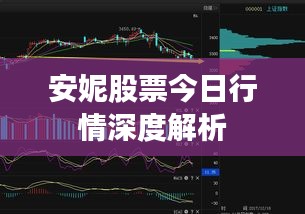 安妮股票今日行情深度解析