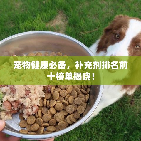 寵物健康必備,補充劑排名前十榜單揭曉!
