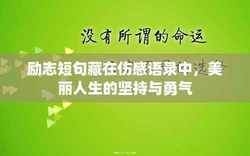 勵志短句藏在傷感語錄中,美麗人生的堅持與勇氣