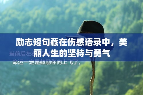 勵志短句藏在傷感語錄中,美麗人生的堅持與勇氣