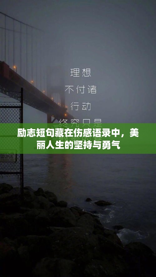 勵志短句藏在傷感語錄中,美麗人生的堅持與勇氣