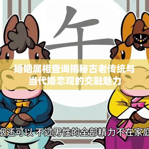 婚姻屬相查詢揭秘古老傳統與當代婚戀觀的交融魅力