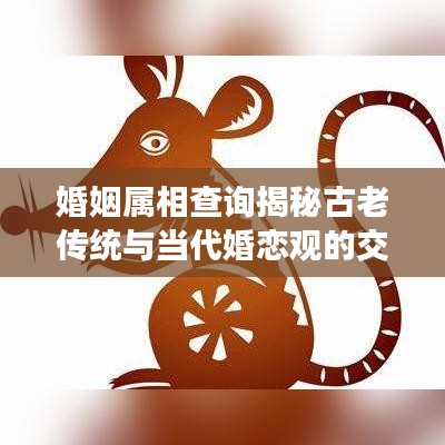 婚姻屬相查詢揭秘古老傳統與當代婚戀觀的交融魅力