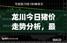 龍川今日豬價(jià)走勢(shì)分析，最新行情解讀