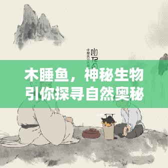 木睡魚，神秘生物引你探尋自然奧秘