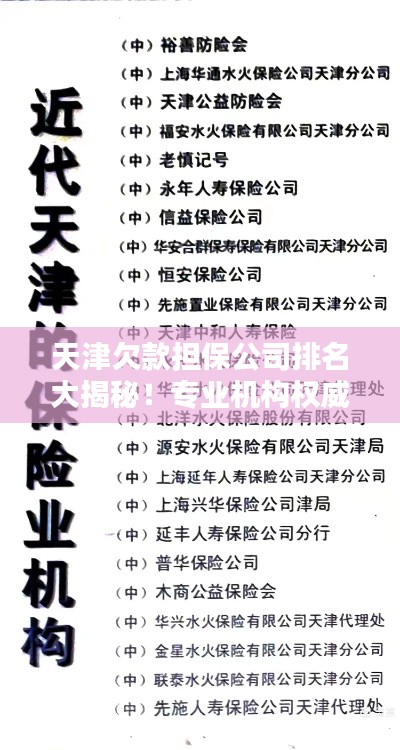 天津欠款擔保公司排名大揭秘!專業機構權威榜單出爐!
