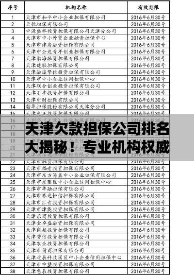 天津欠款擔保公司排名大揭秘!專業機構權威榜單出爐!